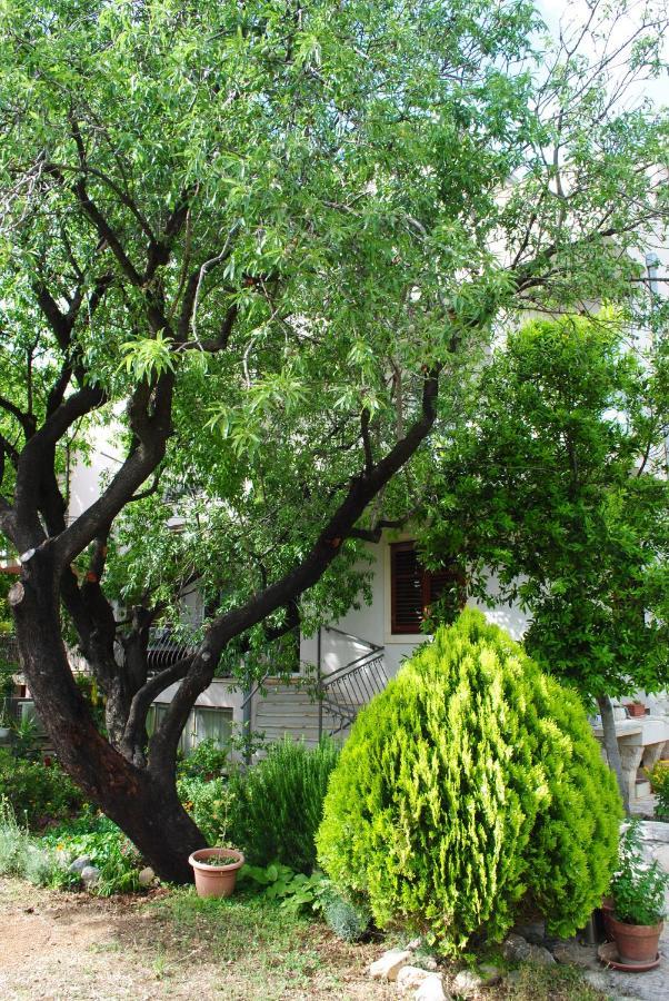 Apartments Natura 马卡尔斯卡 外观 照片
