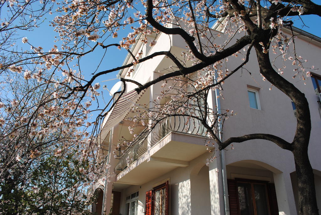 Apartments Natura 马卡尔斯卡 外观 照片
